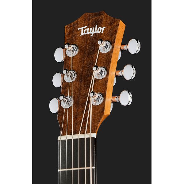Taylor TS-BTe LH