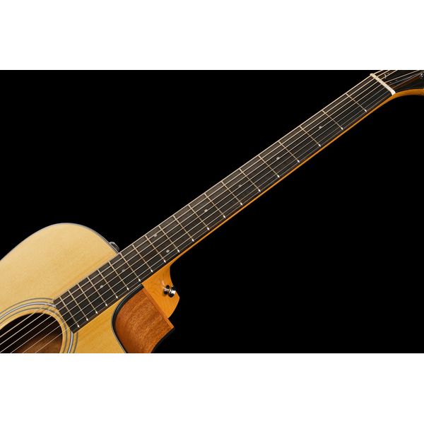 Taylor 110ce - Sapele