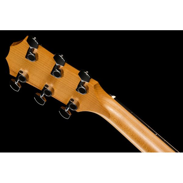 Taylor 110ce - Sapele