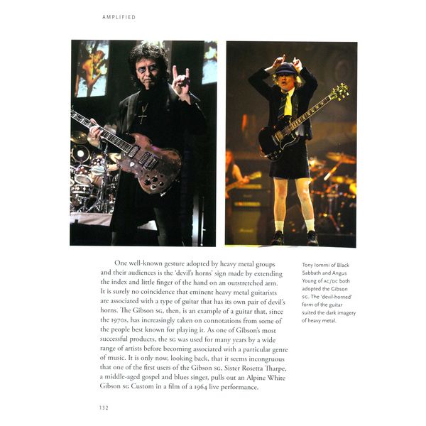 Reaktion Books Amplified