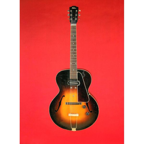 Reaktion Books Amplified