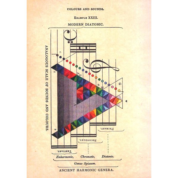 Simon & Schuster Ltd The Madman's Orchestra
