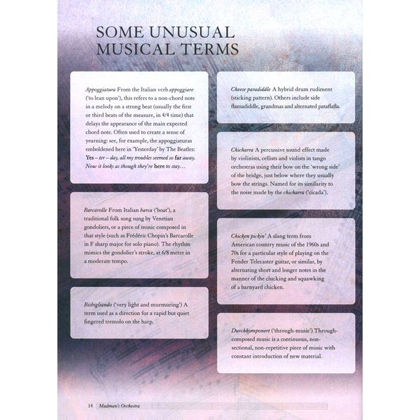 Simon & Schuster Ltd The Madman's Orchestra