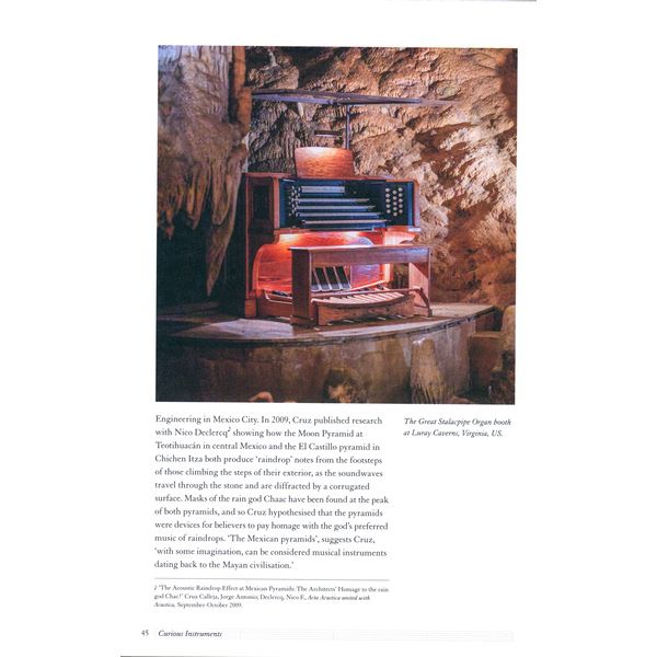 Simon & Schuster Ltd The Madman's Orchestra