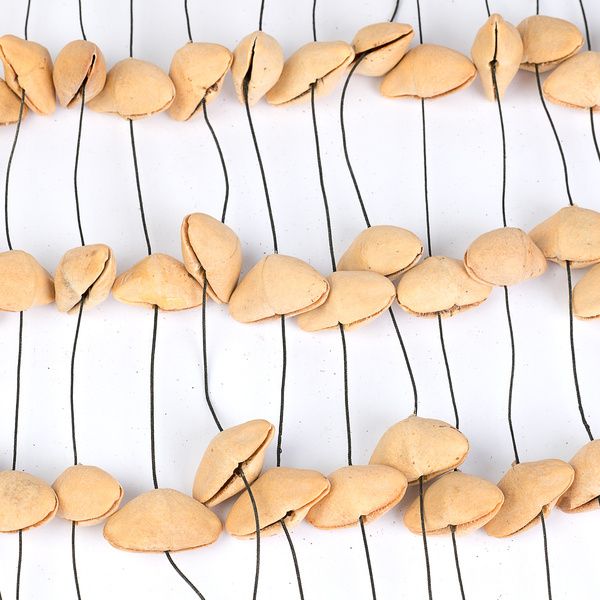 Sela Seed Chime Kenari