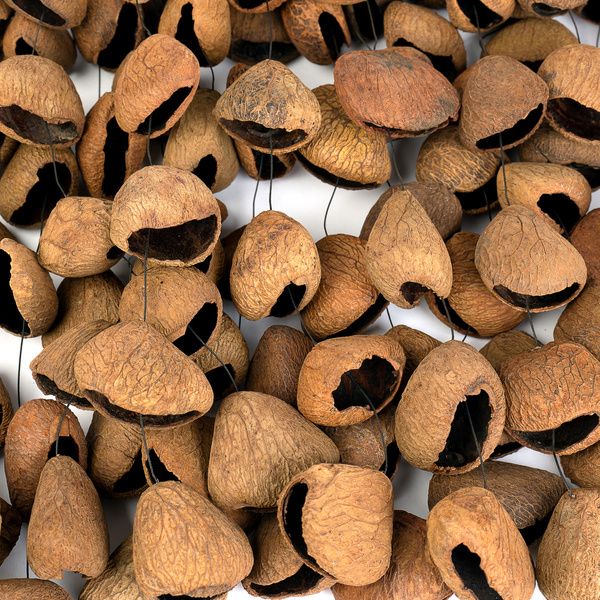 Sela Seed Chime Pangi