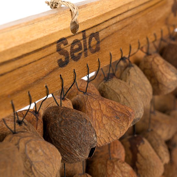 Sela Seed Chime Pangi