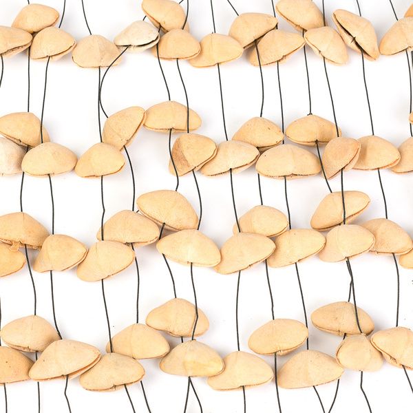 Sela Seed Chime Kenari XL