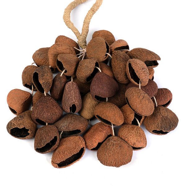 Sela Seed Shaker 4-Row Pangi