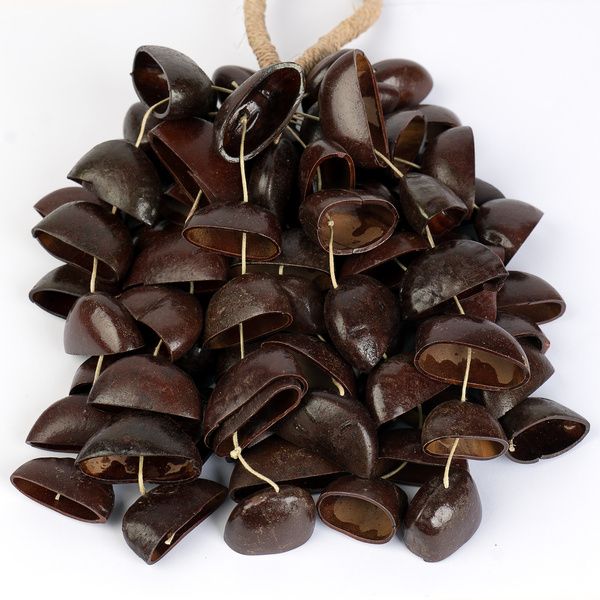 Sela Seed Shaker 6-Row Bendo