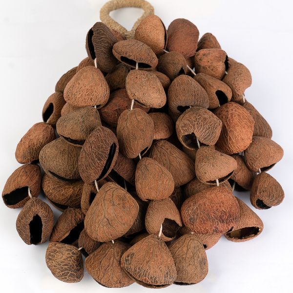 Sela Seed Shaker 6-Row Pangi