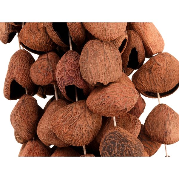 Sela Seed Shaker 6-Row Pangi