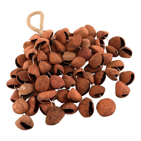 Sela Seed Shaker 6-Row Pangi