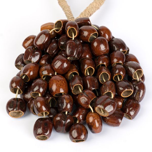 Sela Seed Shaker 6-Row Pala