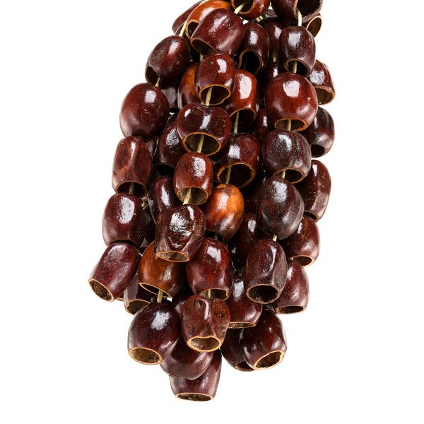 Sela Seed Shaker 6-Row Pala