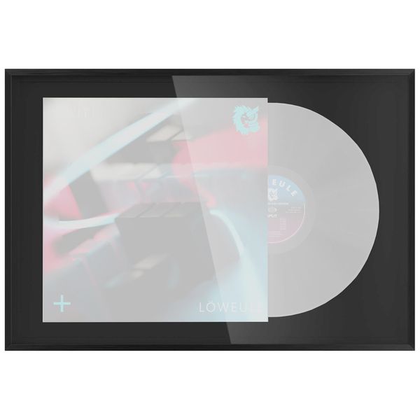 Glorious Record Display Frame