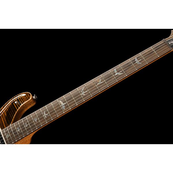 PRS 40th Anniv. Custom 24 TE #2