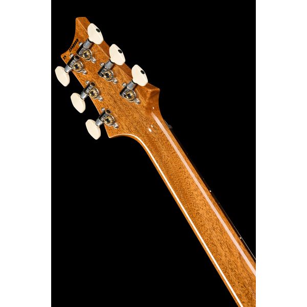 PRS 40th Anniv. Custom 24 TE #2