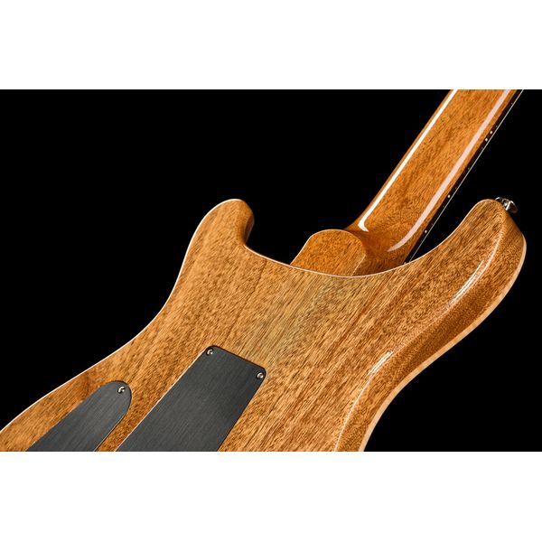 PRS 40th Anniv. Custom 24 TE #2