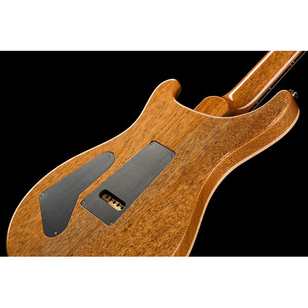 PRS 40th Anniversary Custom 24 TE