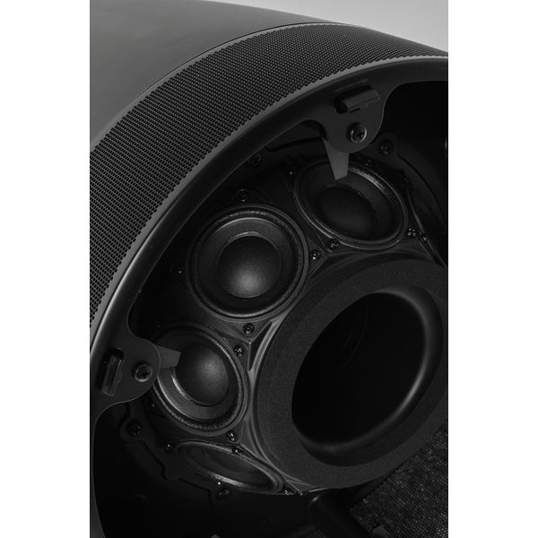 Bose Professional Luna DML88P BLK