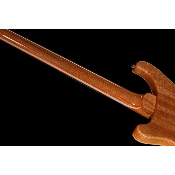 PRS 40th Anniversary Custom 24 TE