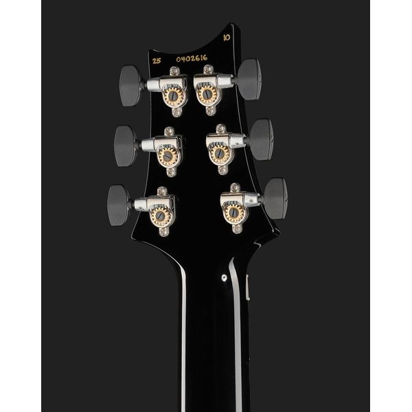 PRS Custom 24 Floyd 10 Top PT