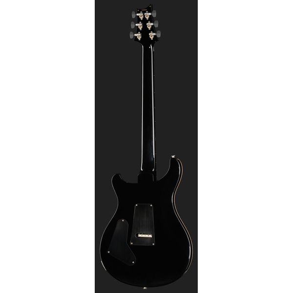 PRS Custom 24 Floyd 10 Top PT