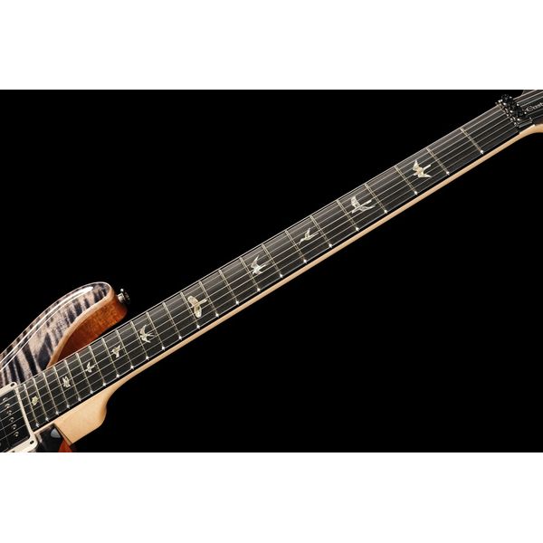 PRS Custom 24 Floyd 10 Top CH