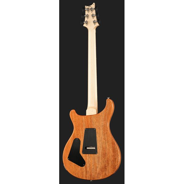 PRS Custom 24 Floyd 10 Top CH