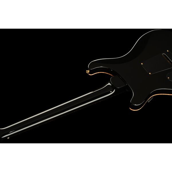 PRS DGT Birds 10 Top FB