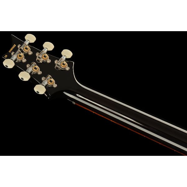 PRS PRS DGT Moons BW