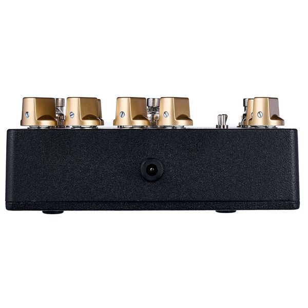 Rodenberg LDP Deluxe Victor Wooten