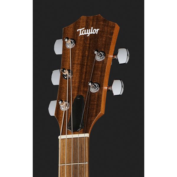 Taylor Jacob Collier Academy 22e