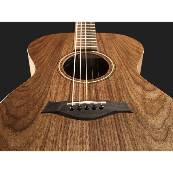 Taylor Jacob Collier Academy 22e