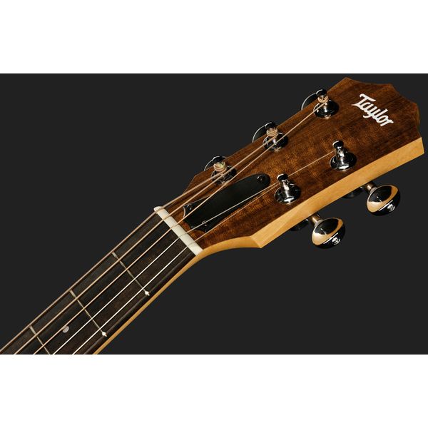 Taylor Jacob Collier GS Mini
