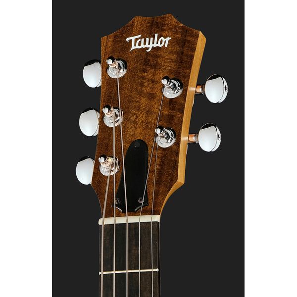 Taylor Jacob Collier GS Mini