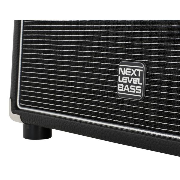 Eich Amplification 210 XS 8Ohm Cabinet II