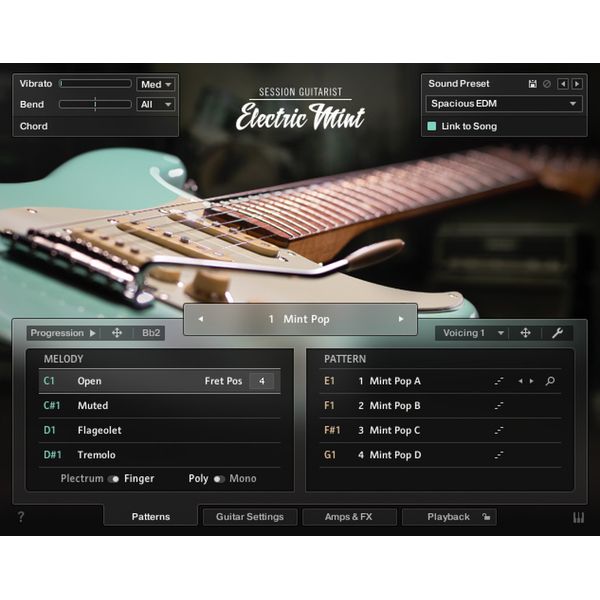 Native Instruments SessionGuitarist Electric Mint
