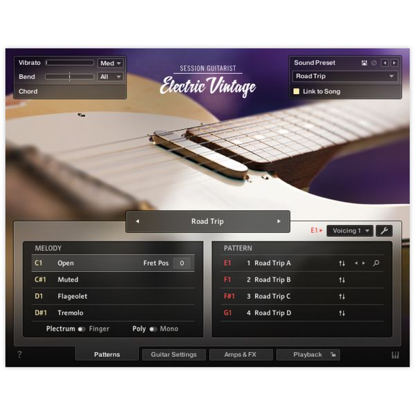 Native Instruments Sess. Guit. - Electric Vintage