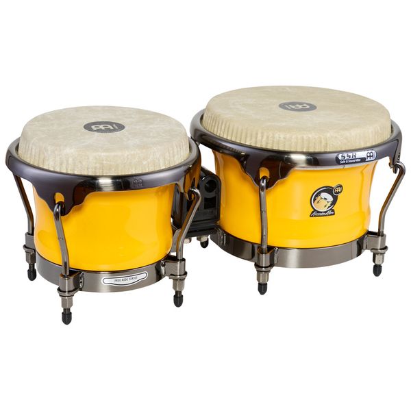Meinl Artist Alexandra Alban Bongos