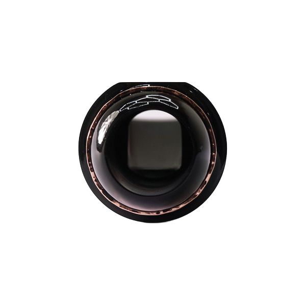 Gottsu Alto Sepia T. Jazz Solist C*