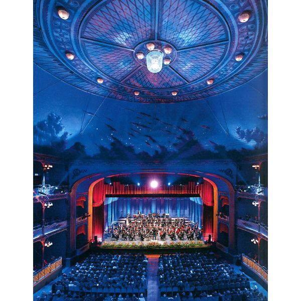 Bärenreiter Wie funktioniert ein Orchester