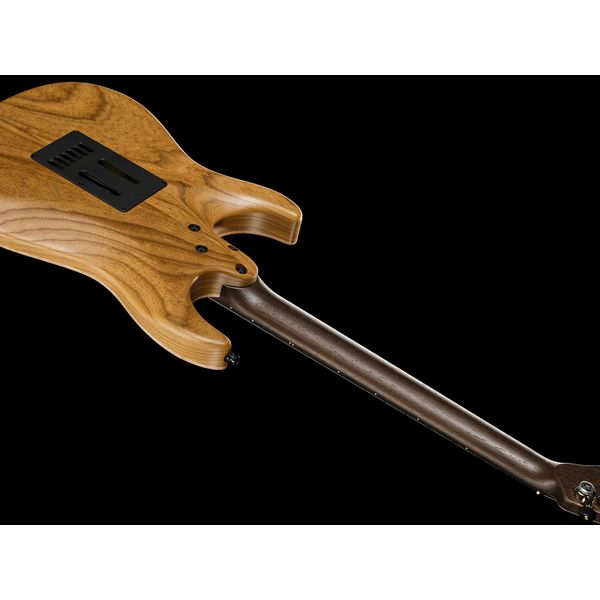 Mayones Guitars Aquila Elite V24 6 Inf Purple