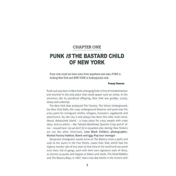 Omnibus Press Punk: The Last Word