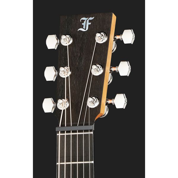 Furch LJ 10 Exclusiv EC