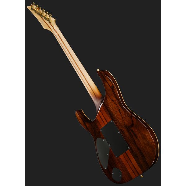 Ibanez IV1RG Visions RG