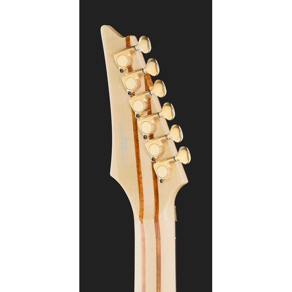 Ibanez IV1RG Visions RG