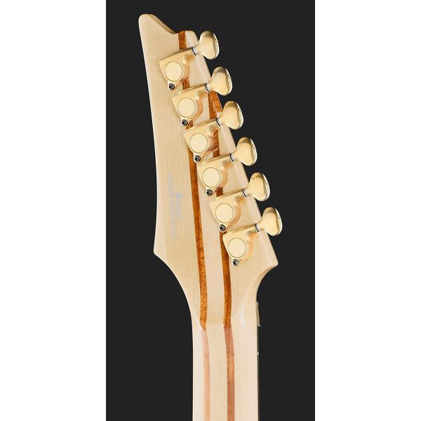 Ibanez IV1RG Visions RG