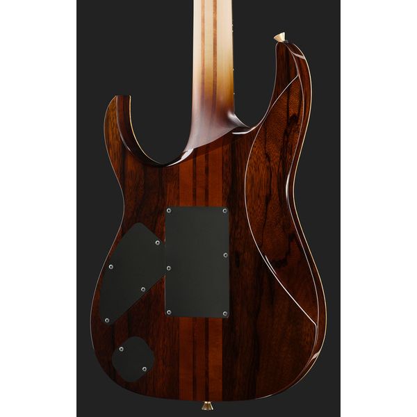 Ibanez IV1RG Visions RG